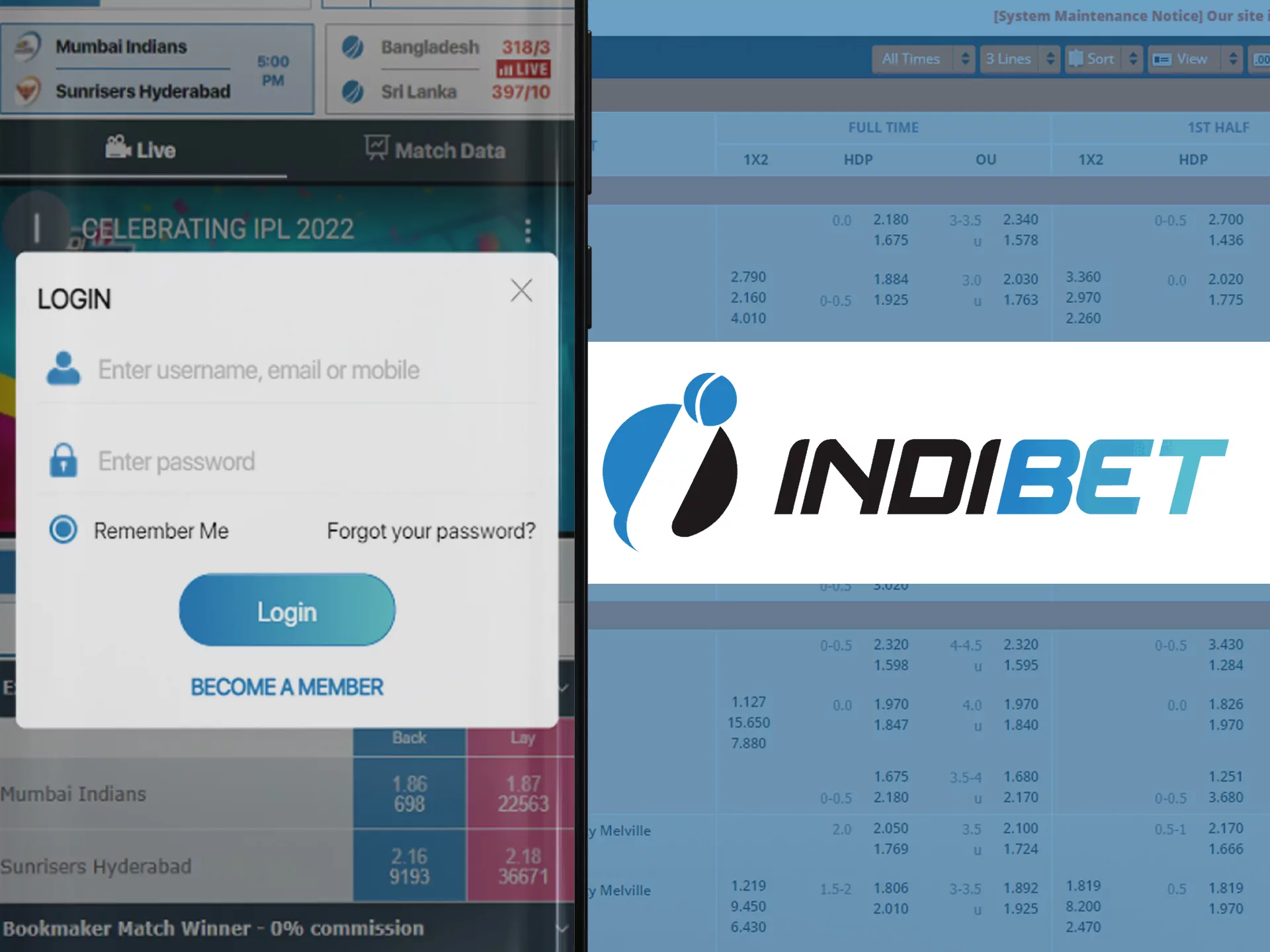 Log in to Indibet with your username and password.